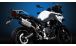 BMW F800GS (2024- ), F900GS & F900GS Adv Scarico Remus 8 2.0