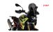 BMW F800GS (2024- ), F900GS & F900GS Adv Parabrezza Touring